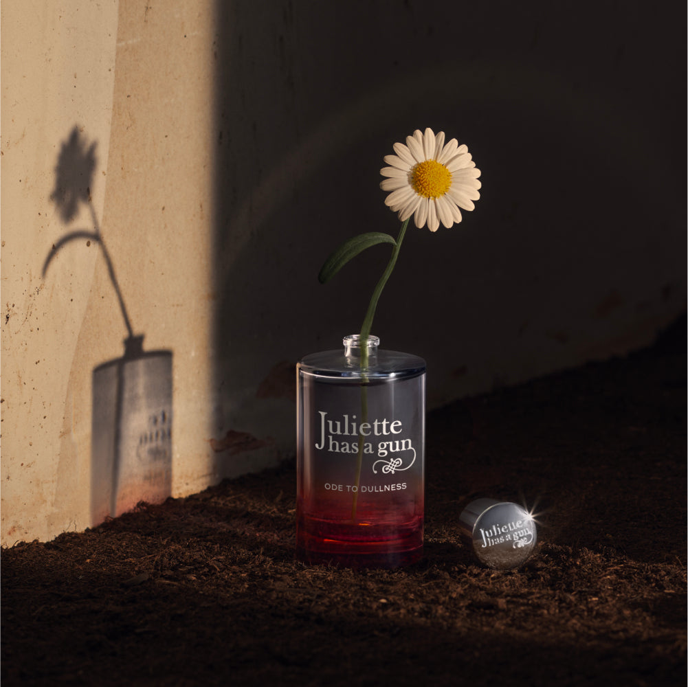 Ode to Dullness - Image 5